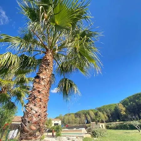 Piscine. A 20 Min A 5min Roquebrune-sur-Argens